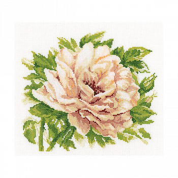 Набор для вышивания РТО арт.M370 Английская роза 28х26 см