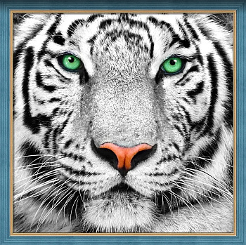 Набор для изготовления картин АЛМАЗНАЯ ЖИВОПИСЬ арт.АЖ.1788 Портрет белого тигра 25х25 см