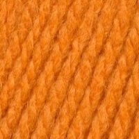 Пряжа для вязания ТРО Новинка (82% шерсть, 18% акрил) 10х100г/120м цв.0497 ярк.оранжевый
