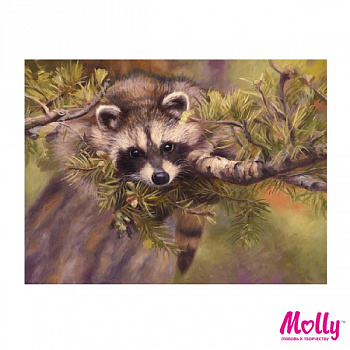 Картины по номерам Molly арт.KH0046 Енотик (12 Цветов) 15х20 см