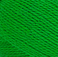 Пряжа для вязания КАМТ Премьера (100% импортная п/т шерсть) 10х100г/300м цв.044 трава
