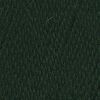 Пряжа для вязания ТРО Алиса (50% шерсть, 50% вискоза) 10х100г/300м цв.0094 т.зеленый