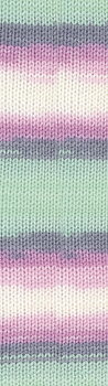 Пряжа для вязания Ализе Sekerim Batik (90% акрил, 10% полиамид) 5х100г/320м цв.6541 секционная