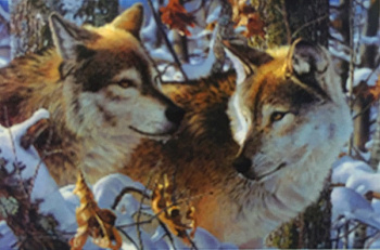 Набор  для вышивания бисером КОЛОР КИТ арт.КК.526 Волки в зимнем лесу 27х35 см