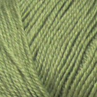 Пряжа для вязания ПЕХ Кроссбред Бразилии (50% шерсть, 50% акрил) 5х100г/490м цв.478 защитный