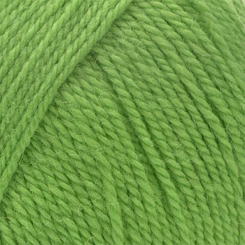 Пряжа для вязания КАМТ Аргентинская шерсть (100% импортная п/т шерсть) 10х100г/200м цв.045 зеленое яблоко