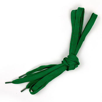 Шнурки TBY декоративные плоские 08мм 130см арт.SLF063 цв.зеленый уп.10шт