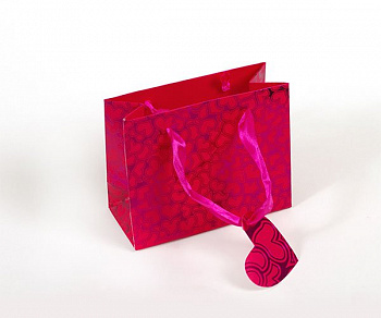 Пакет подарочный арт. 8548S 14,2х11,6х6,5 цв.розовый