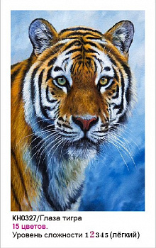 Набор юного художника Molly арт.KH0327 Глаза тигра (15 Цветов) 20х30 см