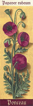 Набор для вышивания PANNA Живая картина арт. JK-2122 Ботаника. Маки 7х24,5 см
