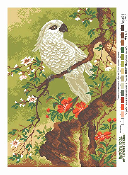 Рисунок на канве МАТРЕНИН ПОСАД арт.37х49 - 0674 Белый попугай