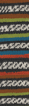 Пряжа для вязания Ализе Superwash 100 (75% шерсть, 25% полиамид) 5х100г/420м цв.4792