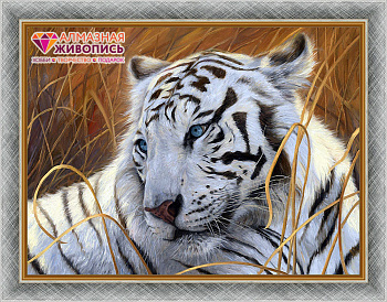 Набор для изготовления картин АЛМАЗНАЯ ЖИВОПИСЬ арт.АЖ.1401 Белый тигр 40х30 см
