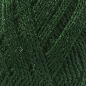 Пряжа для вязания КАМТ Премьера (100% импортная п/т шерсть) 10х100г/300м цв.110 зеленый