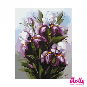 Картины по номерам Molly арт.KH0060/1 Ирисы (25 Цветов) 40х50 см