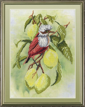 Набор для вышивания с рисунком на канве МП СТУДИЯ арт.РК-301 Птичка на ветке лимона 20х30 см