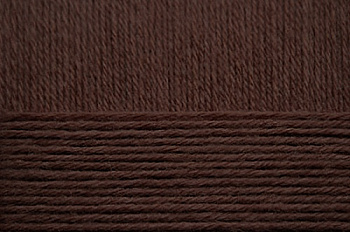 Пряжа для вязания ПЕХ Удачный выбор (100% акрил высокообъёмый) 5х100г/200м цв.251 коричневый
