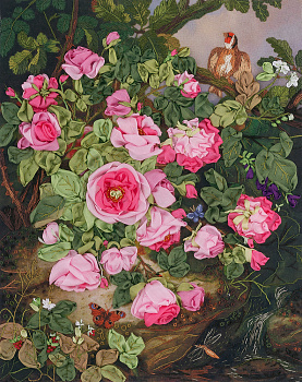 Набор для вышивания PANNA Живая картина арт. JK-2034 Розы королевы Виктории 25х19,5 см