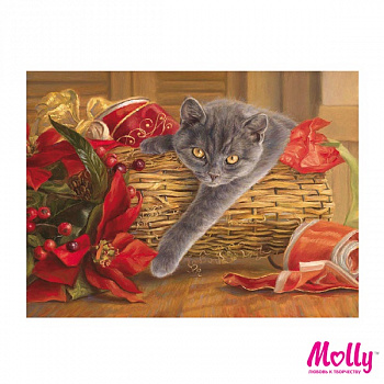 Картины по номерам Molly арт.KH0050 Подарок (12 Цветов) 15х20 см