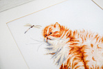 Набор для вышивания LUCA-S арт. B2270 Кошка со стрекозой 22,5х22 см