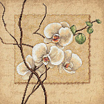 Набор для вышивания DIMENSIONS арт.DMS-35176 Восточные орхидеи 30х30 см