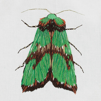 Набор для вышивания PANNA Живая картина арт. JK-2179 Зеленый мотылек 5,5х6,5 см