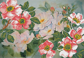 Рисунок на шелке МАТРЕНИН ПОСАД арт.37х49 - 4015 Шиповник в цвету