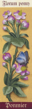 Набор для вышивания PANNA Живая картина арт. JK-2121 Ботаника. Яблоня 7х24,5 см