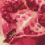 Набор для вышивания РИОЛИС арт.1618 Розовый гранат 40х30 см