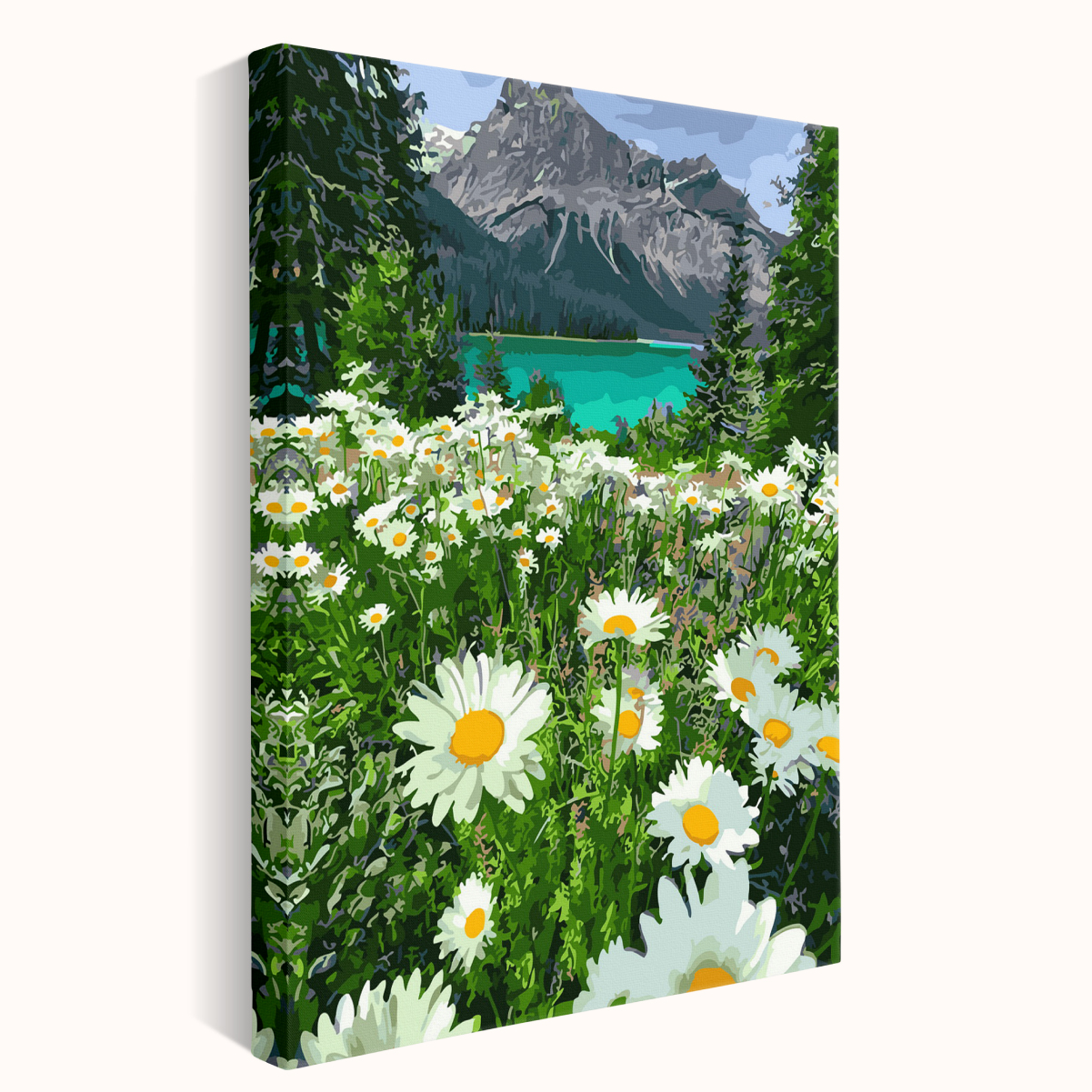 Купить Картины по номерам арт.GX29451 Ромашки 40х50 см оптом
