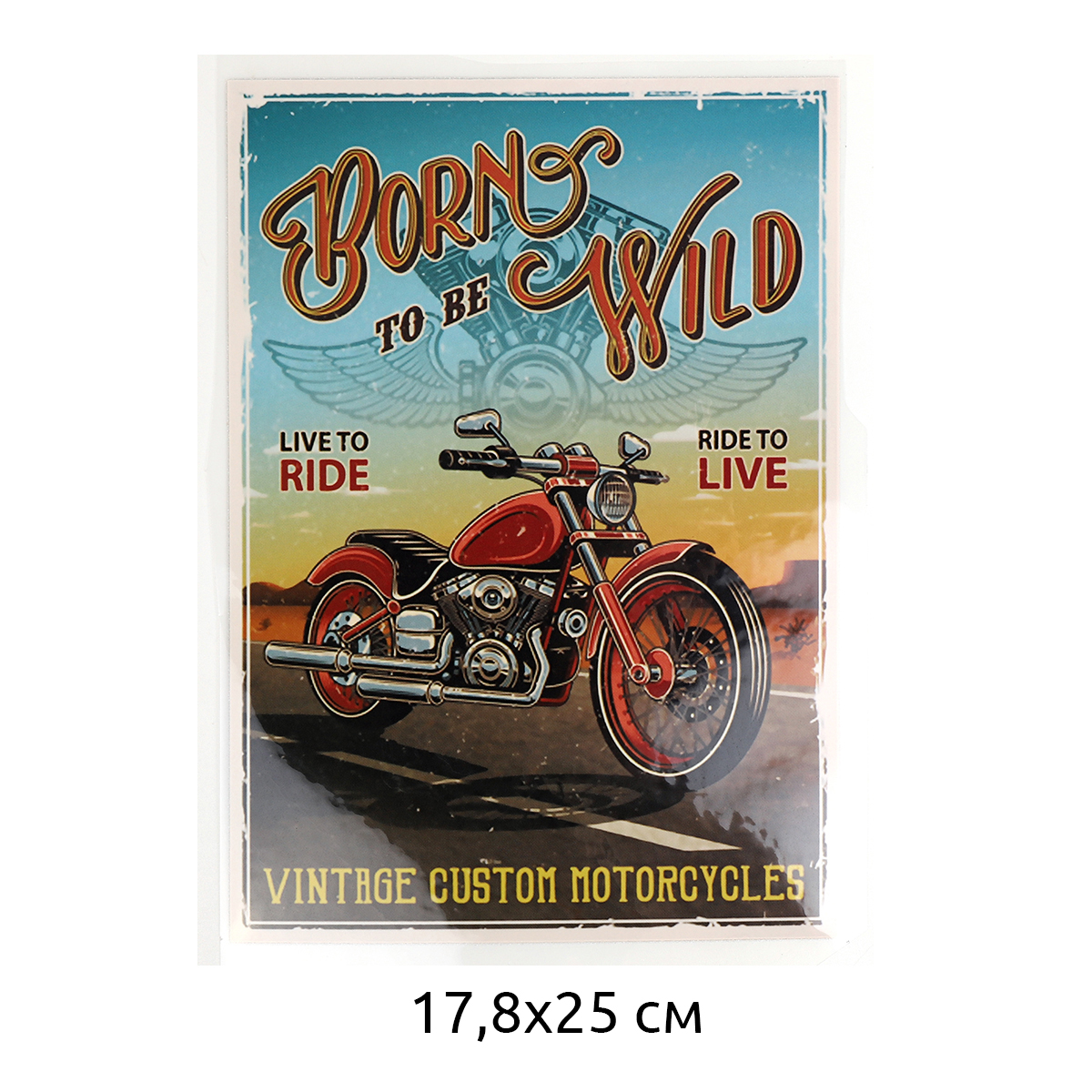 Купить Термотрансфер арт.TBY.1282 Born to be wild 17,8х25см, уп.10шт оптом  по цене 41.43 р