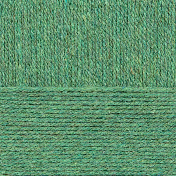 Пряжа для вязания ПЕХ Носочная (50% шерсть, 50% акрил) 10х100г/200м цв.273 шторм