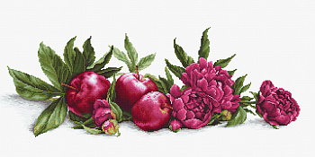 Набор для вышивания LUCA-S арт. BA2357 Пионы и красные яблоки 54,5х20,5 см