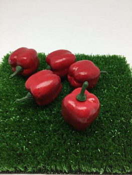 Перец сладкий декоративный цв.красный 30 мм
