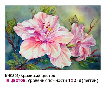 Набор юного художника Molly арт.KH0321 Красивый цветок (18 Цветов) 20х30 см