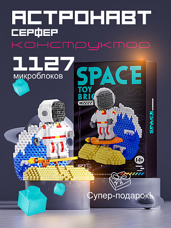 Конструктор пластиковый W2222