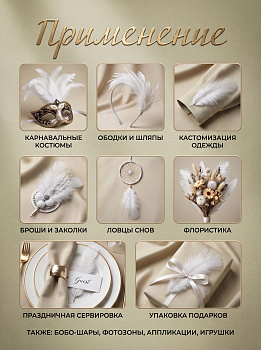 Перья для рукоделия декоративные TBY.F01 цв.белый уп.100шт