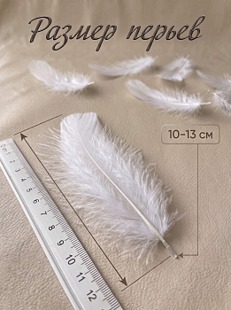 Перья для рукоделия декоративные TBY.F01 цв.белый уп.100шт