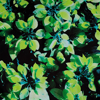 Ткань шелк Армани креп 90 г/м² 97% полиэстер, 3% лайкра шир.148 см арт.T.0401.1 цв.01 зеленый рул.25м