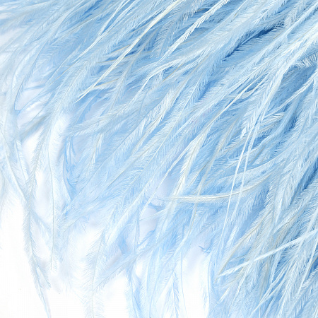 Перья на ленте Страус TBY арт.15-114 шир.15см цв. нежно-голубой  уп.2м