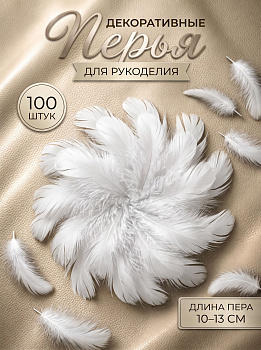 Перья для рукоделия декоративные TBY.F01 цв.белый уп.100шт