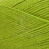 Пряжа для вязания КАМТ Белорусская (50% шерсть, 50% акрил) 5х100г/300м цв.130 липа