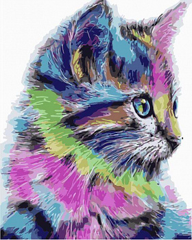 Картины по номерам Разноцветная кошка MG2077 40х50 тм Цветной