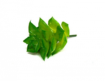 Суккулеты FS-05 искусственные арт.КЛ.27107 h-6,5см Ø5см цв.зеленый