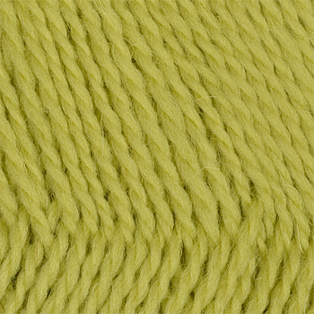 Пряжа для вязания КАМТ Премьера (100% импортная п/т шерсть) 10х100г/300м цв.189 фисташк