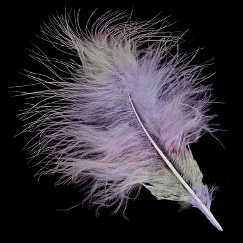 Перо страуса арт.R-2014-15 13-15 см цв.фиолетовый-мульти уп.20 шт.