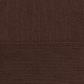 Пряжа для вязания ПЕХ Детский каприз тёплый (50% мериносовая шерсть, 50% фибра) 10х50г/125м цв.251 коричневый
