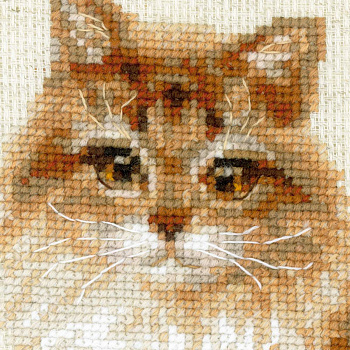 Набор для вышивания РИОЛИС арт.1525 Кошка домашняя 24х30 см