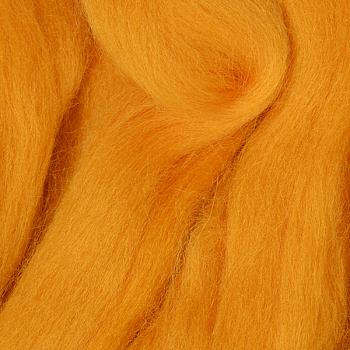 Шерсть для валяния ТРО Гребенная лента (тонкая мериносовая шерсть) 100г цв.3860 листопад