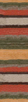 Пряжа для вязания Ализе Burcum Batik (100% акрил) 5х100г/210м цв.6060